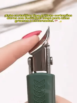 Encabezado